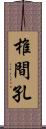 椎間孔 Scroll