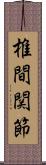椎間関節 Scroll