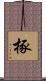 椓 Scroll