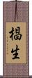 椙生 Scroll