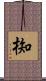 椥 Scroll