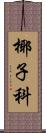 椰子科 Scroll