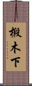 椴木下 Scroll