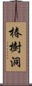 椿樹洞 Scroll