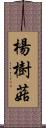 楊樹菇 Scroll
