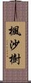 楓沙樹 Scroll