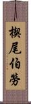 楔尾伯勞 Scroll