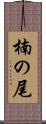楠の尾 Scroll