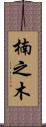 楠之木 Scroll
