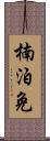 楠泊免 Scroll