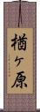 楢ヶ原 Scroll
