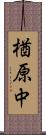 楢原中 Scroll