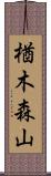 楢木森山 Scroll