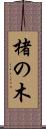 楮の木 Scroll