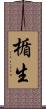 楯生 Scroll