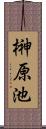 榊原池 Scroll