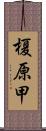 榎原甲 Scroll