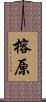 榕原 Scroll