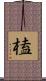 榼 Scroll