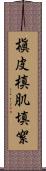 槇皮 Scroll
