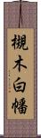 槻木白幡 Scroll