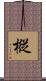 樅 Scroll