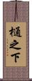 樋之下 Scroll