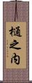 樋之内 Scroll