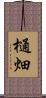 樋畑 Scroll