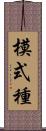 模式種 Scroll