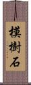 模樹石 Scroll