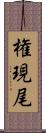 権現尾 Scroll