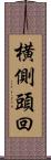 横側頭回 Scroll