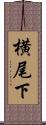 横尾下 Scroll