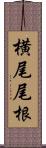 横尾尾根 Scroll