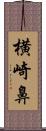 横崎鼻 Scroll