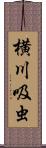 横川吸虫 Scroll