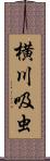 横川吸虫 Scroll