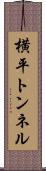 横平トンネル Scroll