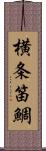 横条笛鯛 Scroll