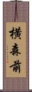 横森前 Scroll