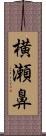 横瀬鼻 Scroll