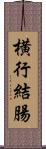 横行結腸 Scroll