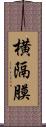 横隔膜 Scroll