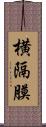 横隔膜 Scroll