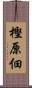 樫原佃 Scroll