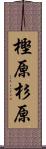 樫原杉原 Scroll