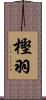 樫羽 Scroll