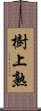 樹上熟 Scroll