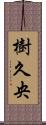 樹久央 Scroll